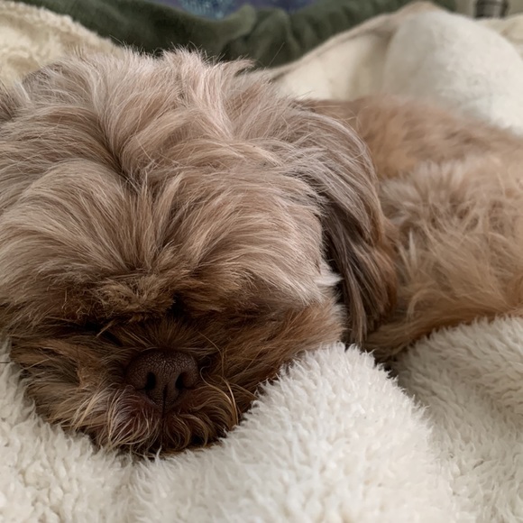 high rise jeans - Picture 5 of 5